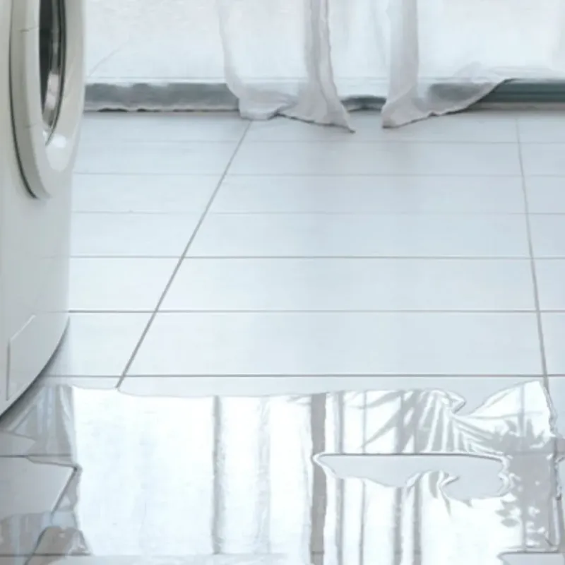 Appliance Leak Cleanup in Redwater, TX