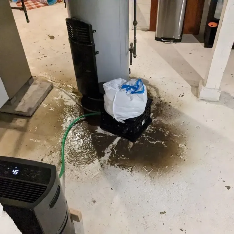 Sewage Backup Cleanup Service in Redwater, TX